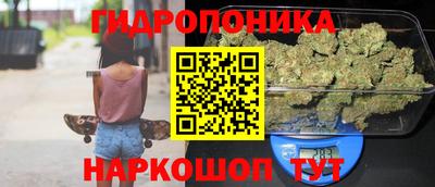 трава Гай