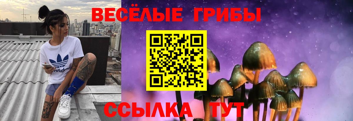 Псилоцибиновые грибы Psilocybe  наркотики  Норильск  Псилоцибиновые грибы GOLDEN TEACHER  Вход с VPN 